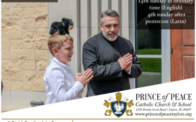 6 July 2025 Bulletin